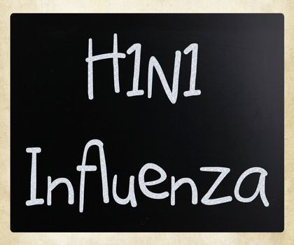 Images of the H1N1 Influenza Virus
