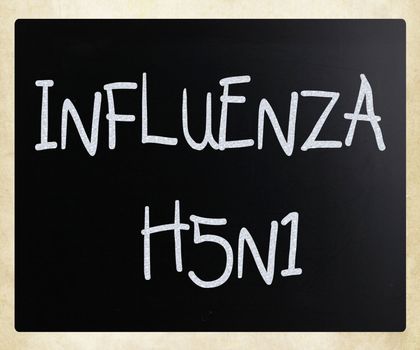 Images of the H5N1 Influenza Virus