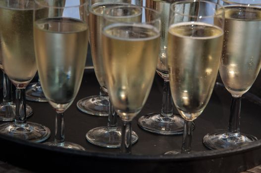 tray of filled champagne glasses ready for serving