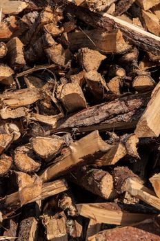 split wood pile in forest with wood in different lengths