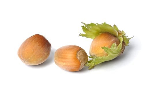 Macro of hazelnuts on white background