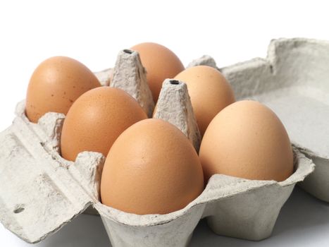 Six eggs in container on white background