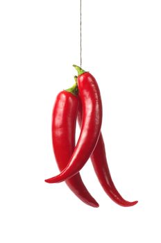 Red hot chili pepper isolated on white