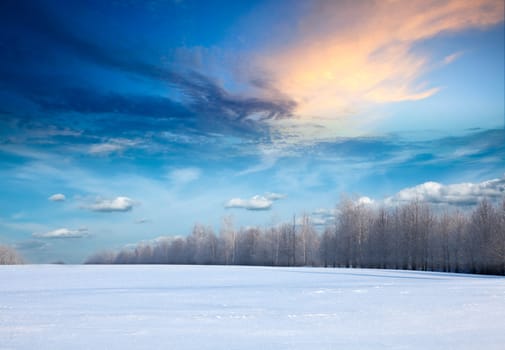 Winter landscape - forest and field covered with snow