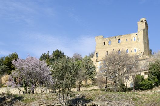 ruined castle of Chateauneuf du Pape in Provence in spring, France
