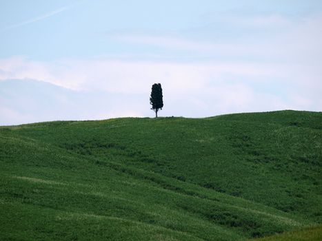 The landscape of the Val d’Orcia. Tuscany. Italy