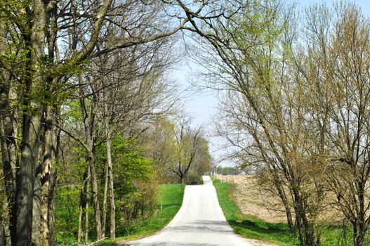 Road in the country