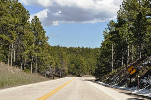 Deadwood winding road