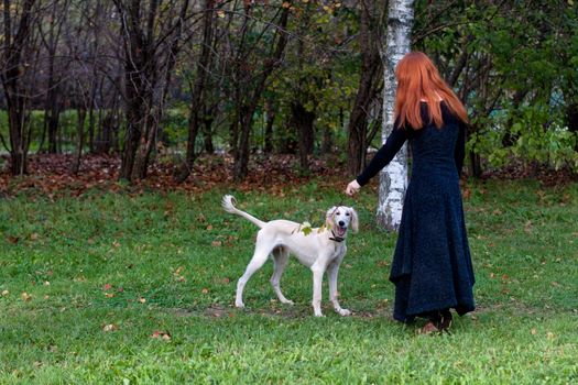 A girl in a black dress and white saliki pup in a forest 
