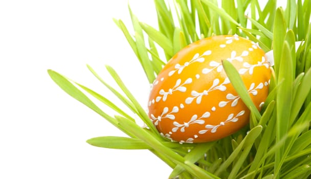 Handmade Orange Easter Painted Egg in Green Grass on White Background