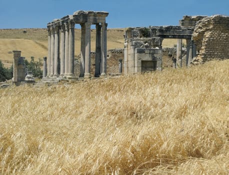 The ruins of the ancient Roman city of Dougga in Tunisia and wheat field