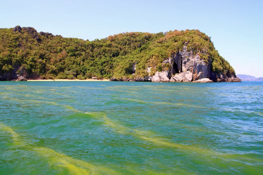 Red Tide Sea Pollution cause from global Warming