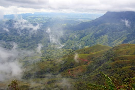 Mist on Mountain at Phu Thub Berg, North of Thailand
