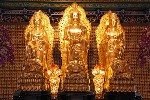 Chinese style golden buddha in dragon temple in Thailand