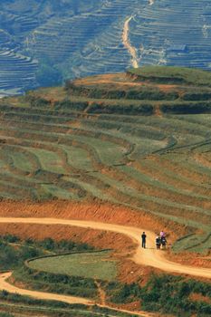 Traveller and hmong villager walk at Curve Dirt road in sapa with and paddle rice field