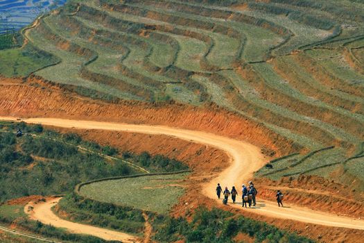 Traveller and hmong villager walk at Curve Dirt road in sapa with and paddle rice field