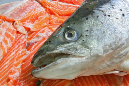 Raw Salmon Head on Heap of sliced salmon fillet