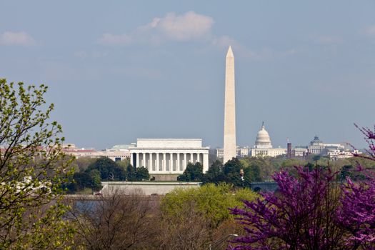 View of Washington DC skyline in late afternoon on a sunny day with Lincoln Memorial, Washington Monument and the Capitol with a blooming redbud