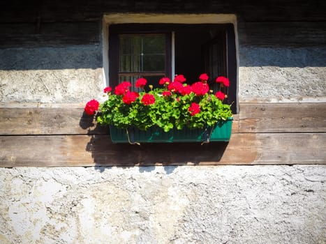 A Window with a flower basket