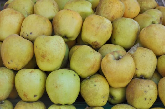 Apple fruit (Malus Domestica), green, yellow or red