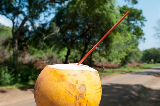 Coconut juice as a refresh drink in hot tropical climate