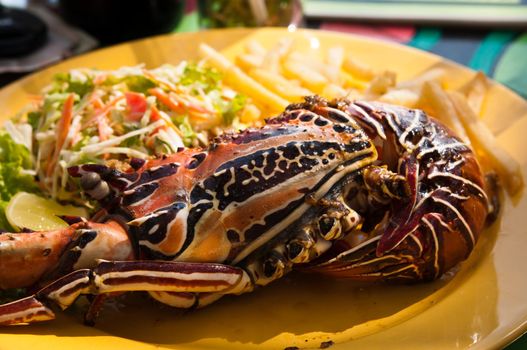 Grilled lobster served with potato and salad