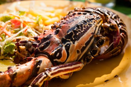Grilled lobster served with potato and salad