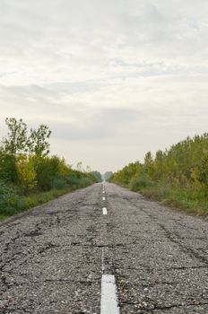 Old country asphalt road, vertical shot