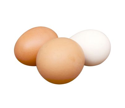 Egg of the hen on white background is insulated