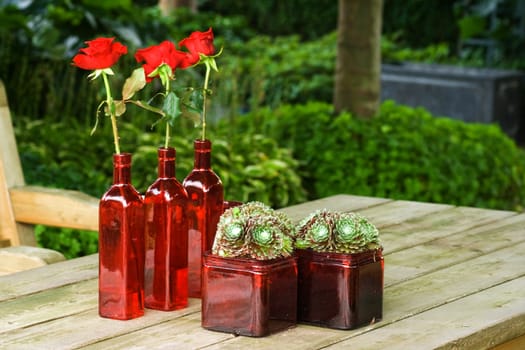 Table in the garden with still life, red glass, Sempervivum plants and roses