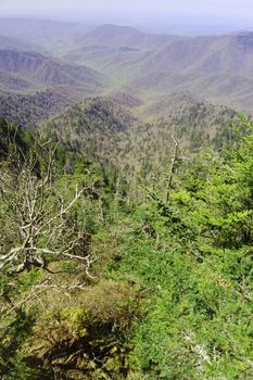 A view from Clingman's Dome in Great Smoky Mountains National Park, along the North Carolina/Tennessee border.