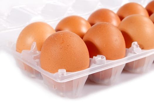 brown eggs on a white background
