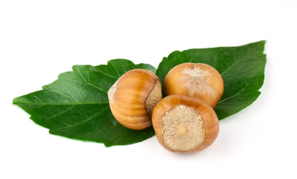 Hazelnuts Composition isolated on white background