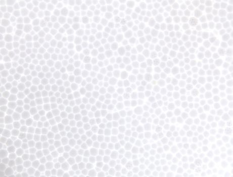 seamless Polystyrene foam texture background