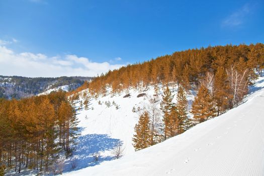 Beautiful winter landscape in the mountains. The nature of Russia.