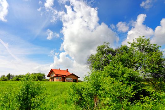 New house and green nature