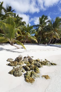 rock on the beach