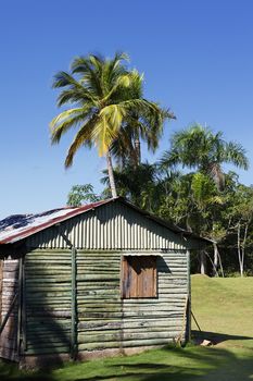 wood house