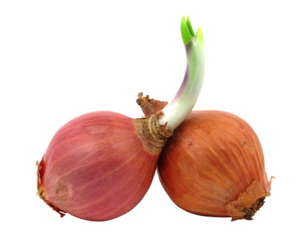 Two shallots with one has leaf isolated with clipping path