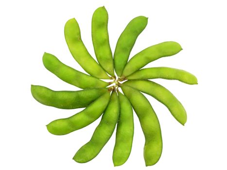 Edamame soy beans shelled in flower shape isolated with clipping path