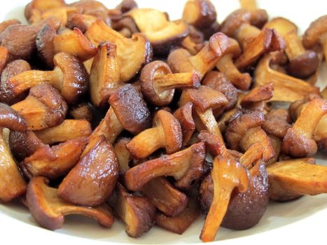 Fried shiitake mushroom on the plate