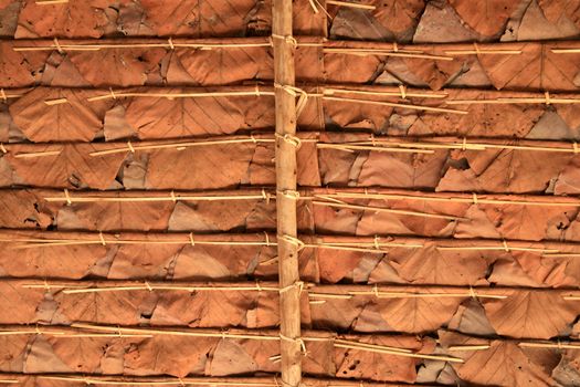 Under leaf roof. Thai style roof in rural area made from dry leaves