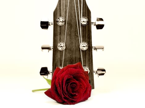 an acoustic guitar and a red rose in the foreground
