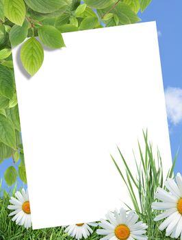 Ecology concept. Blank sheet of paper for text on nature background with green plants and flowers