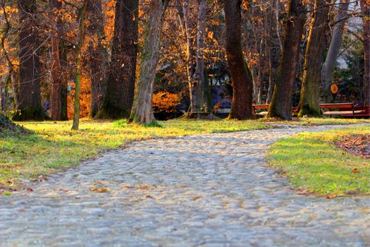 lonely alley in a park at sunset