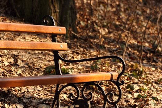 lonely bench in a corner of a park in spring