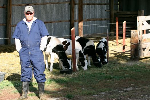Man working as a cow breeder