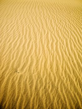Golden Sand River at Mesquite Flats in Death Valley