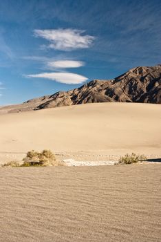 Desert scene at Stovepipe Wells in Mesquite Flats