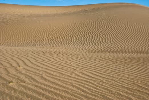 Desert dune at Stovepipe Wells in Mesquite Flats